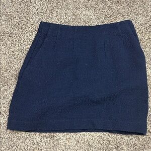 Aritzia babaton skirt
